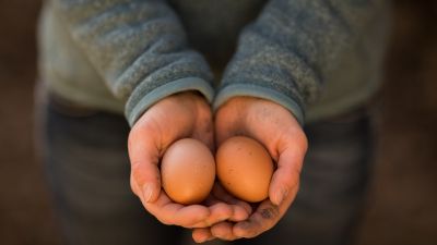 a student holding two fresh farm eggs