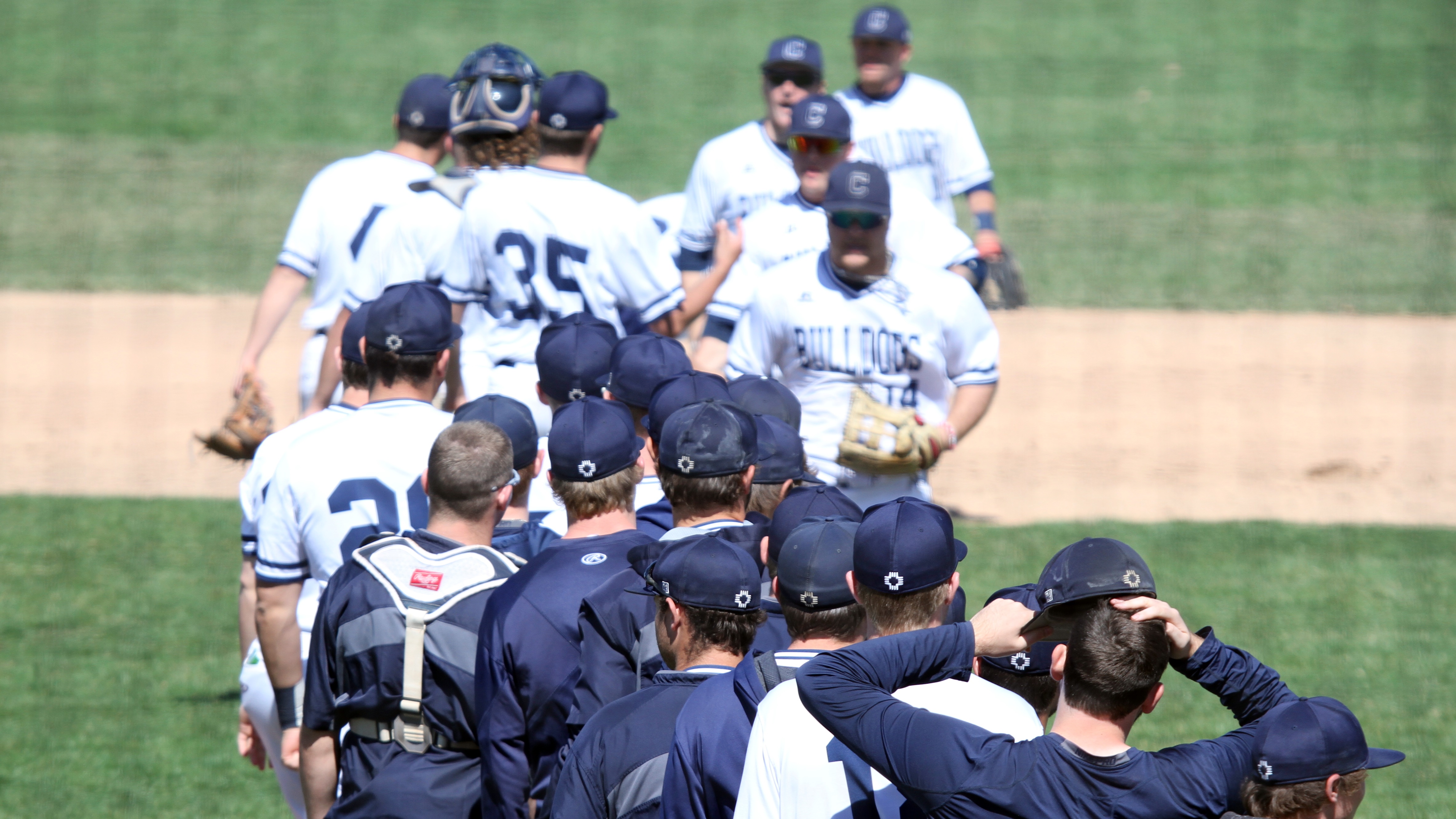 Season preview 2020 Concordia baseball Baseball Concordia