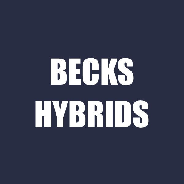 Becks Hybrids