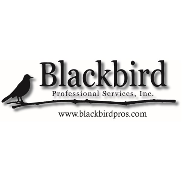 Blackbird Professional Services