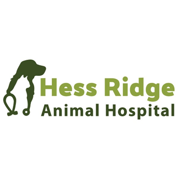 Hess Ridge Animal Hospital