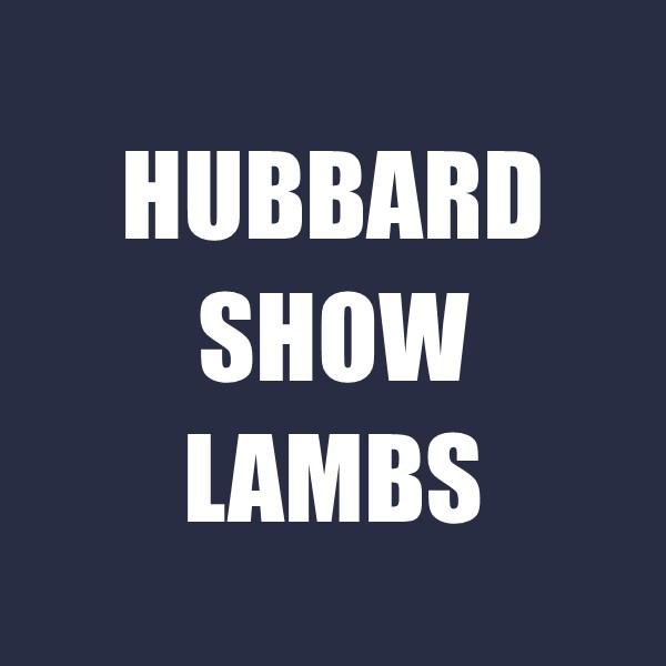 Hubbard Show Lambs
