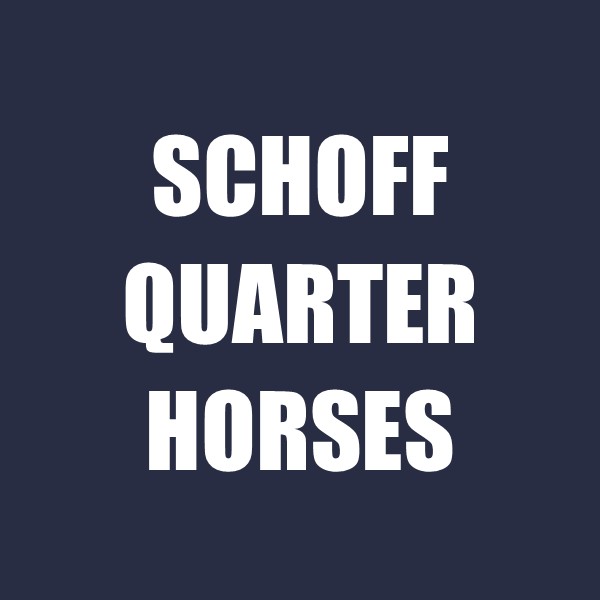 Schoff Quarter Horses