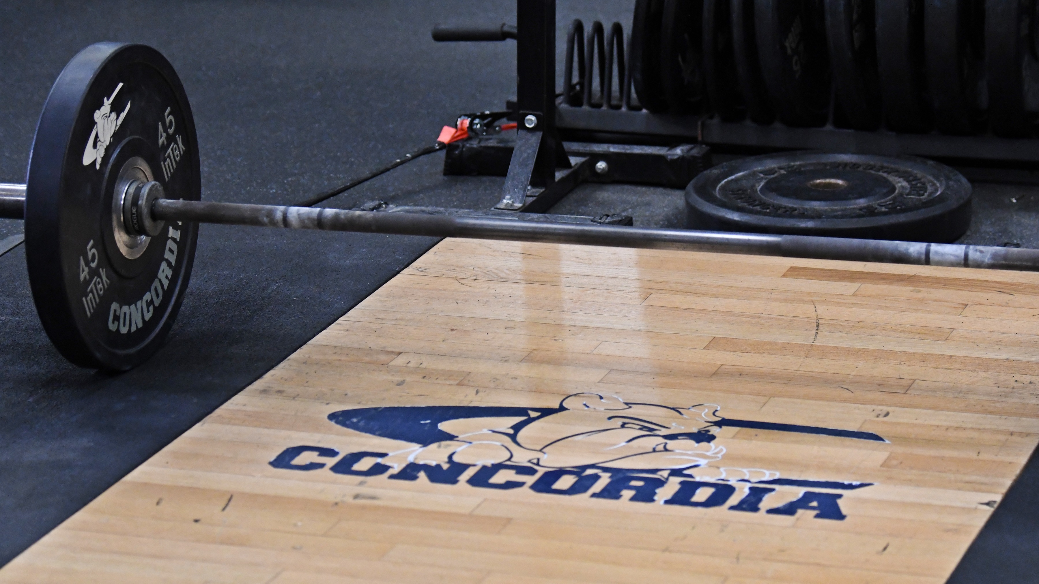 Schedule Release: 2022-23 Women's Lifting Sports :: Women's