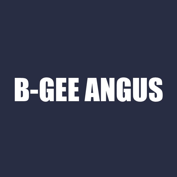 B-Gee Angus
