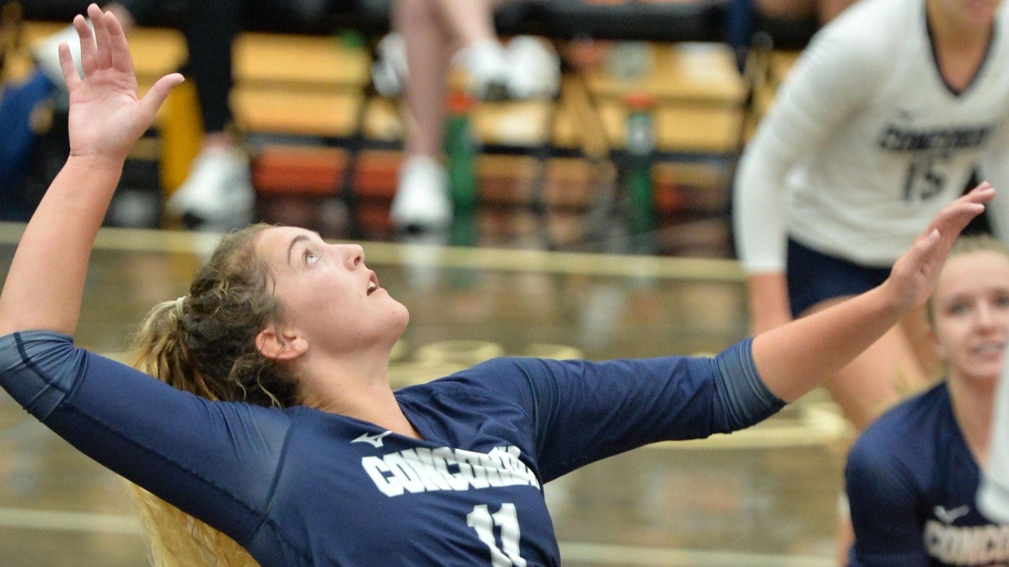 Topranked Dawgs return to win column at Doane Volleyball Concordia University, Nebraska