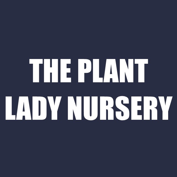 The Plant Lady Nursery