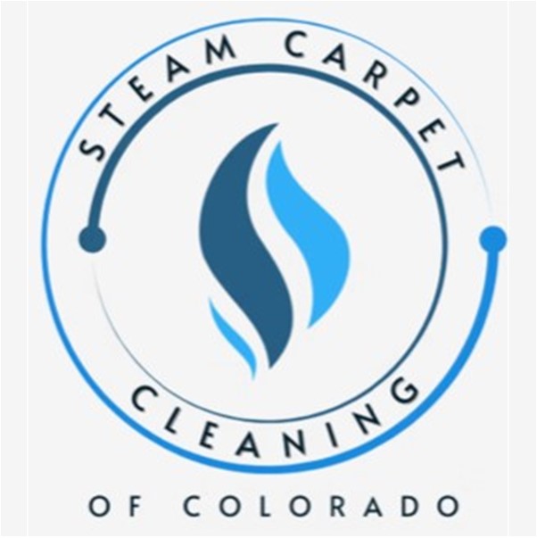 Steam Carpet Cleaning