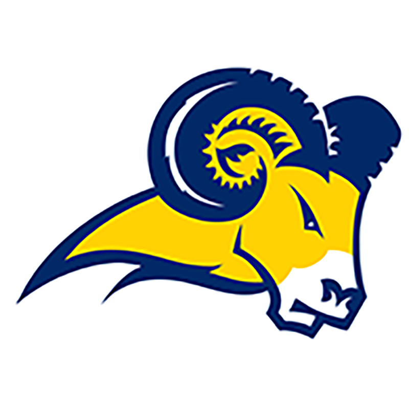 Logo of Texas Wesleyan University