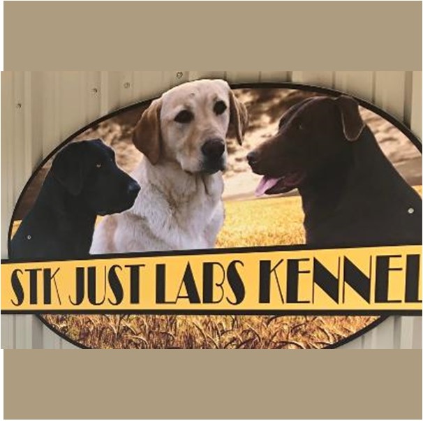 STK Just Labs Kennel