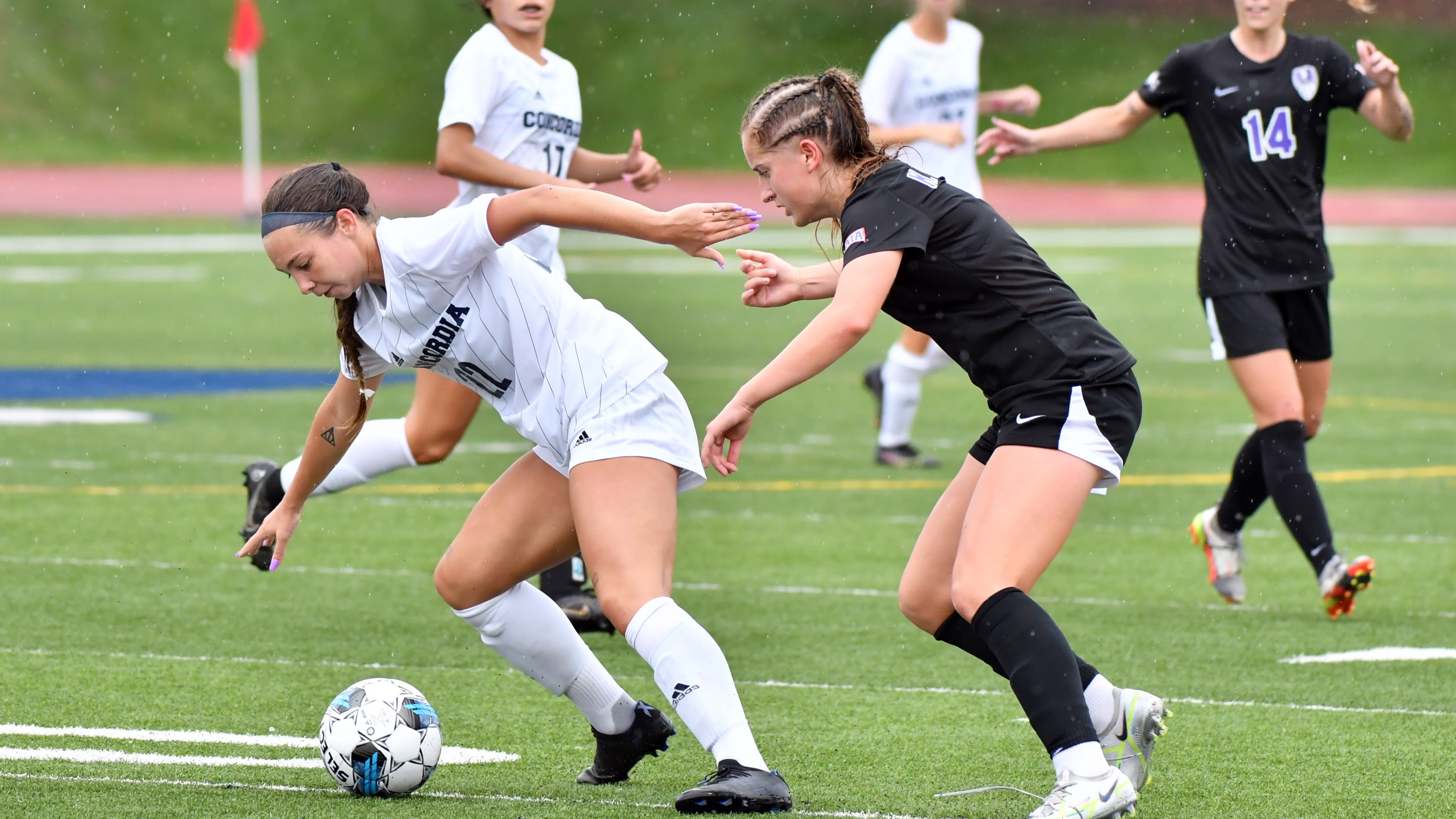 Red hot Dawgs seek to remain unbeaten versus Bethany, Mount Marty