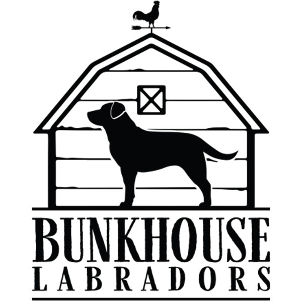 Bunkhouse Labradors