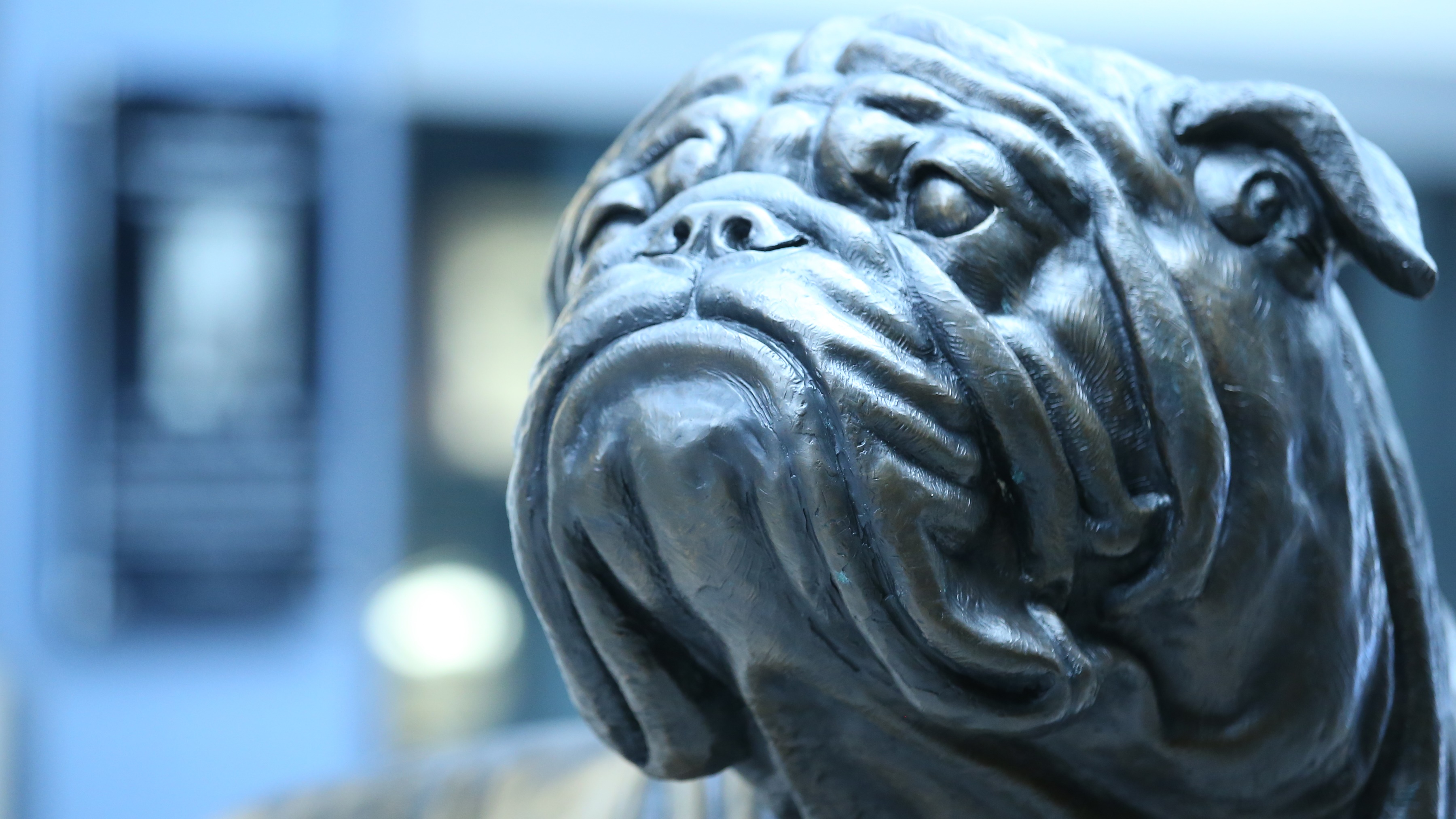 Twenty Bulldog programs earn NAIA Scholar-Team distinction for 2025-26