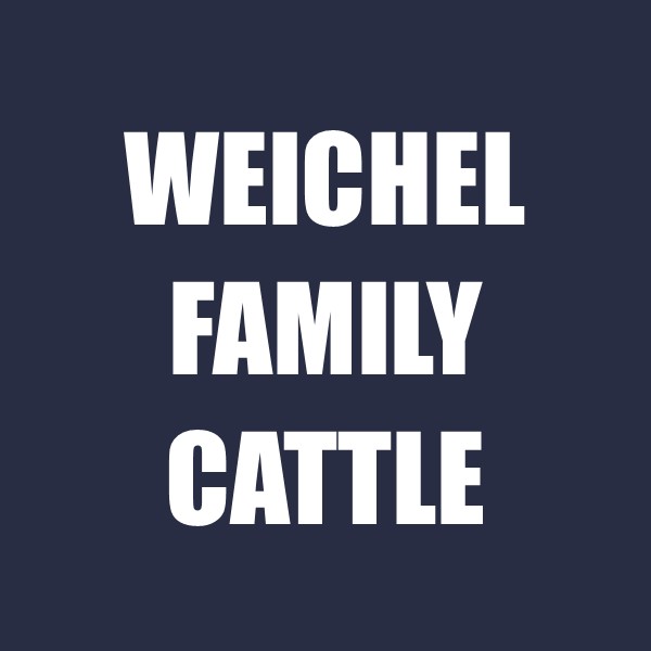 Weichel Family Cattle
