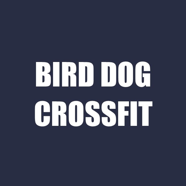 Bird Dog CrossFit