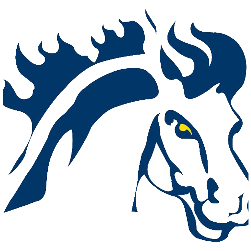 Logo of Mount Mercy University