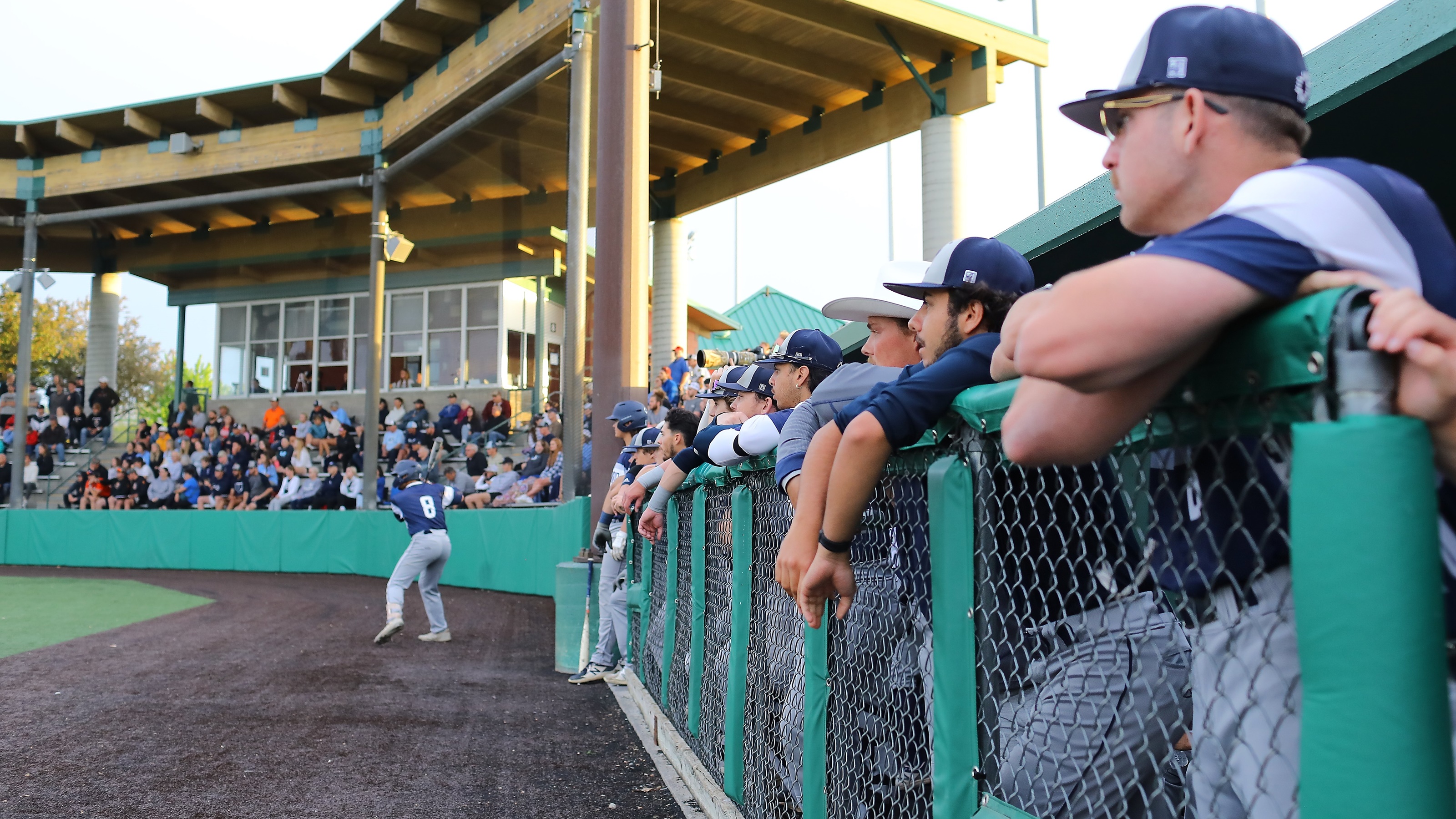 Bulldogs garner No. 3 seed, sent to for NAIA Opening Round
