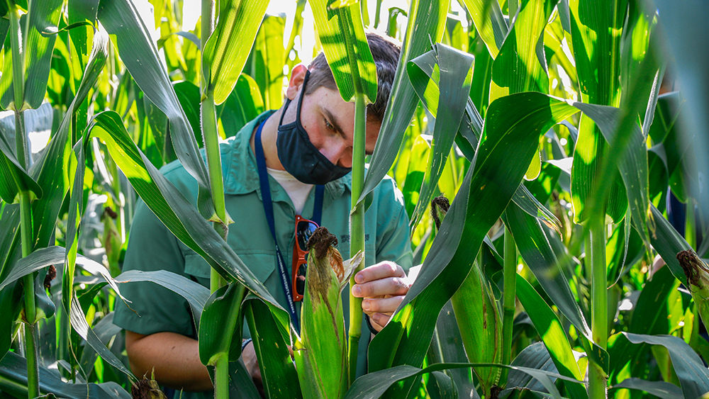 Event for Virtual open house - Agricultural Science