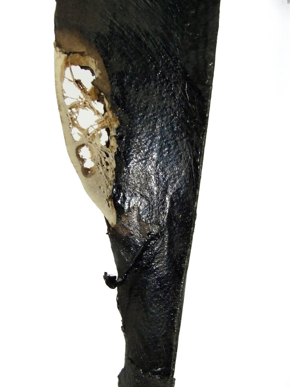 121336_ScarsideAdetail_931x1242.jpg