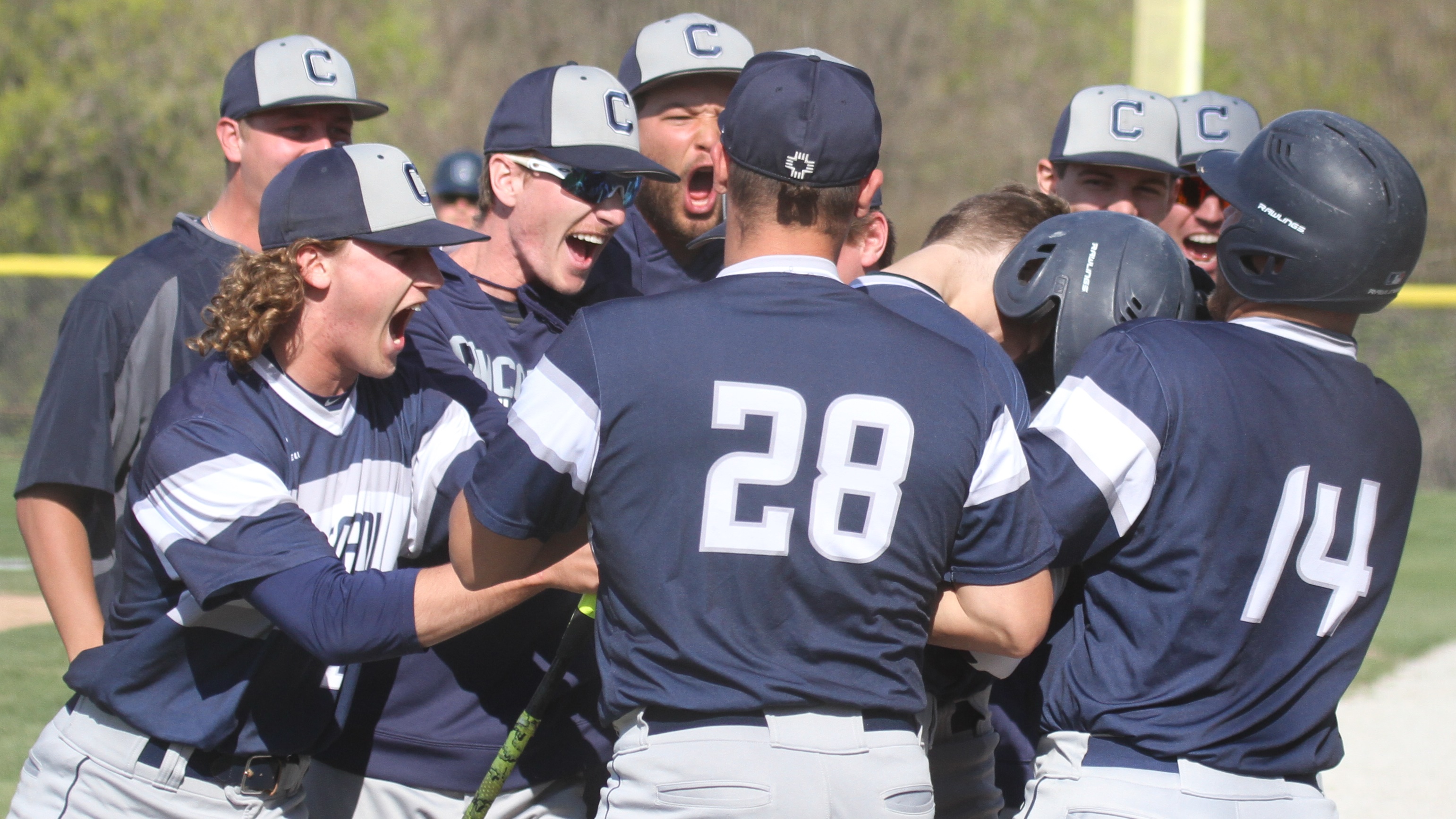 Concordia Baseball Receives Votes Nationally Announces 2020 Schedule 