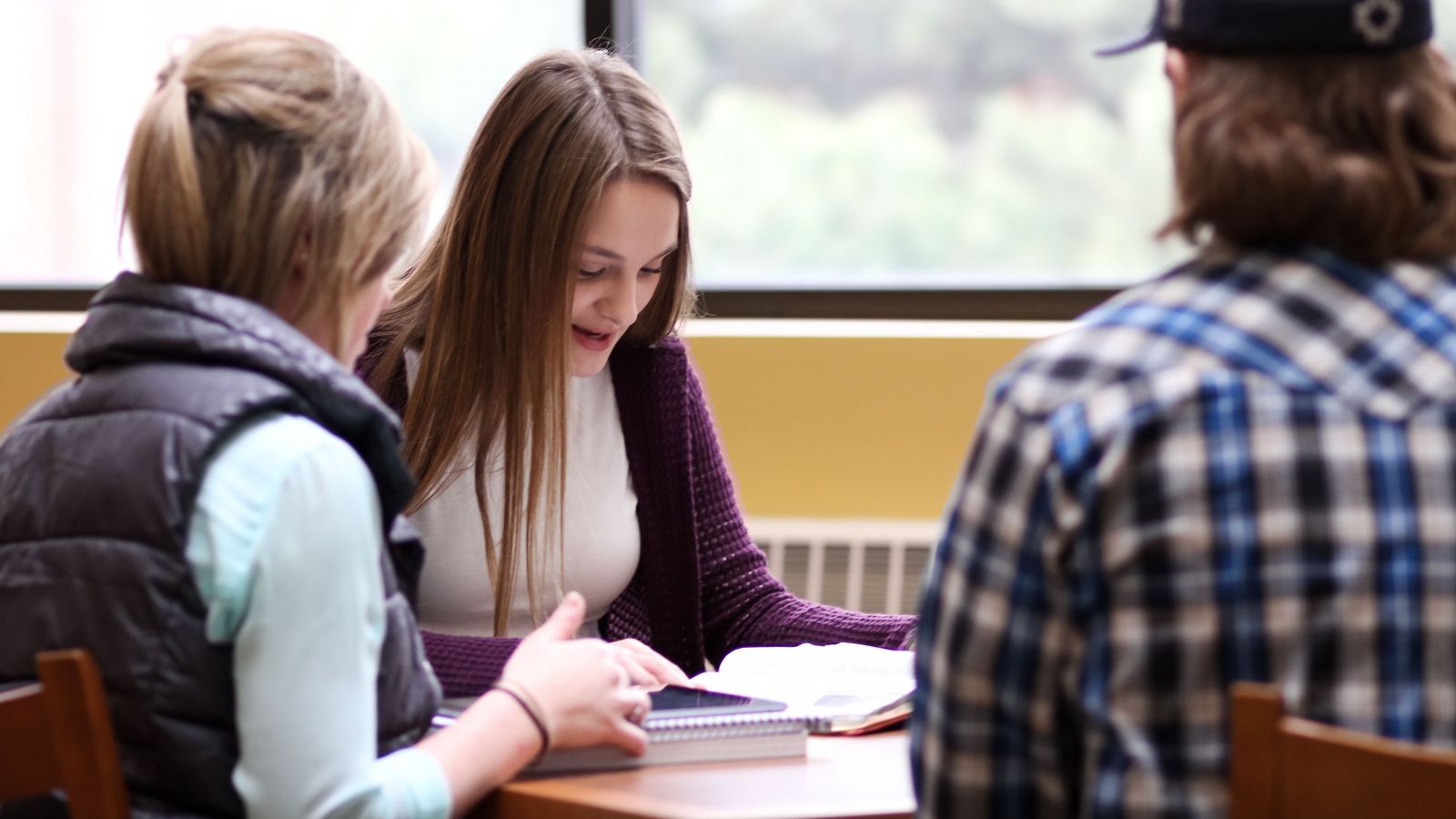 Photo of Psychology - Online