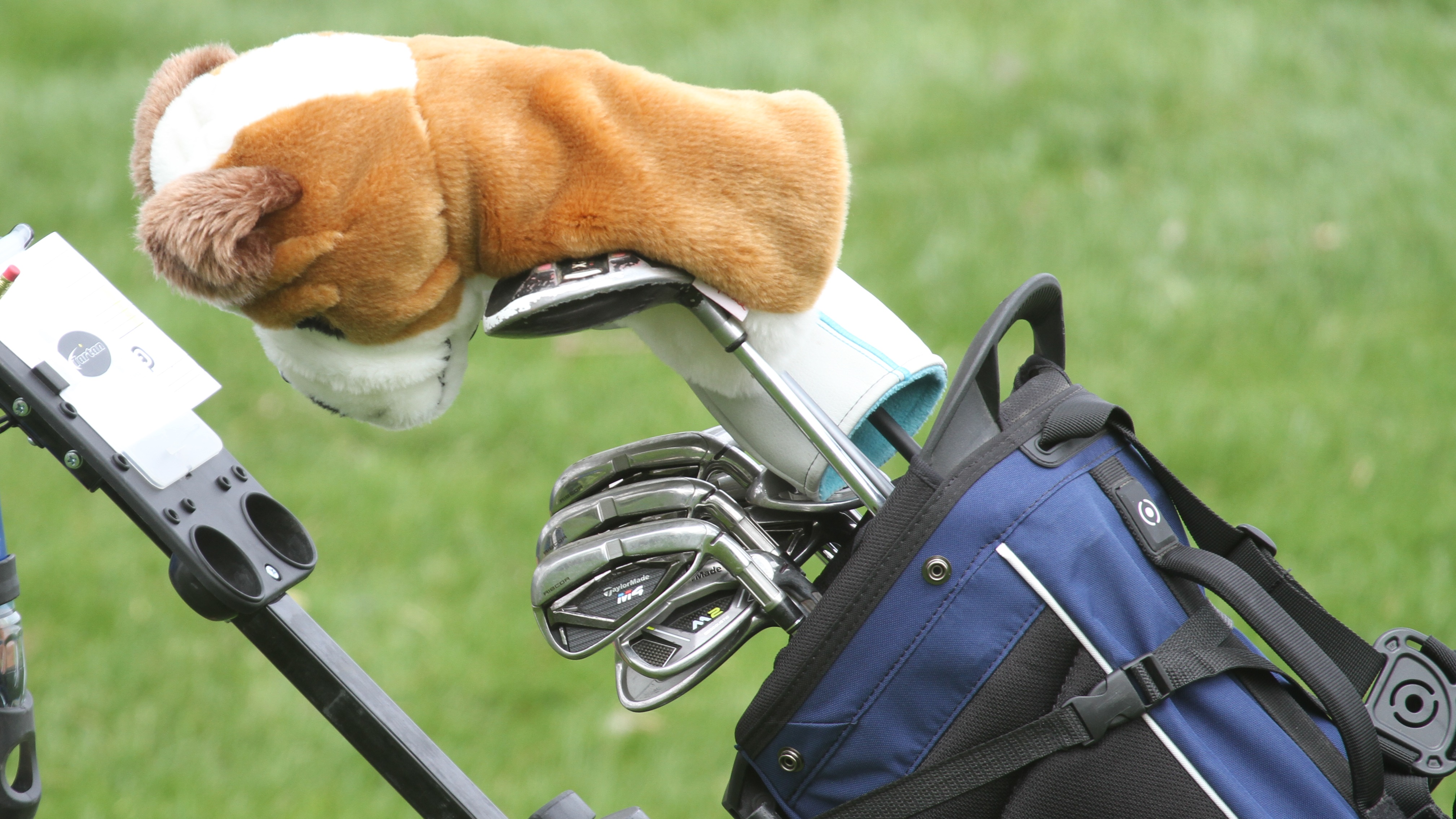 Registration open for 2020 Bulldog Golf Classic :: Athletic Announcements :: Concordia