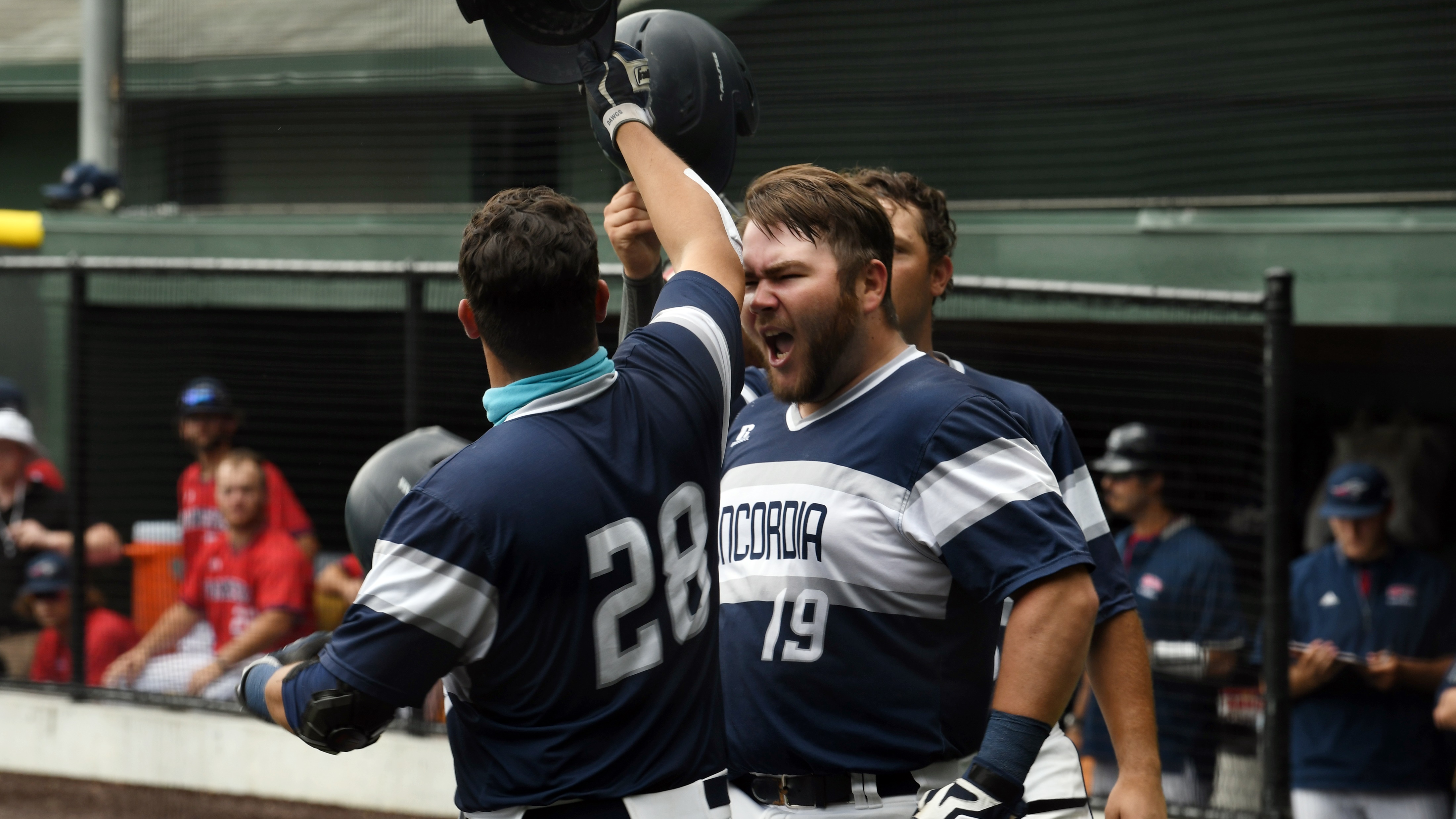 Bulldogs begin 2022 as GPAC favorite Baseball Concordia