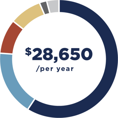 Pie chart of scholarship numbers totaling $28,650 per year for Student 2