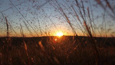 Photo of Environmental Science / Studies