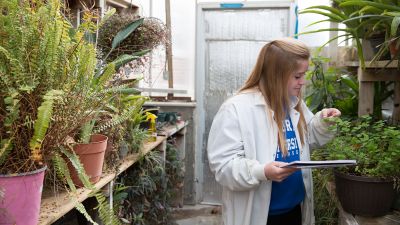 a student checks plants at Concordia's green house
