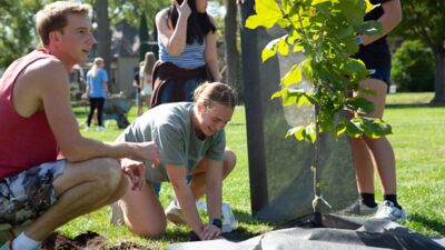 Tree Planting