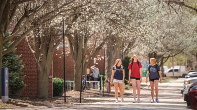 Three students walking under flowering trees in the spring