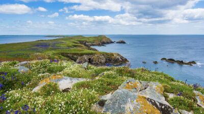 A picture of the Irish coast