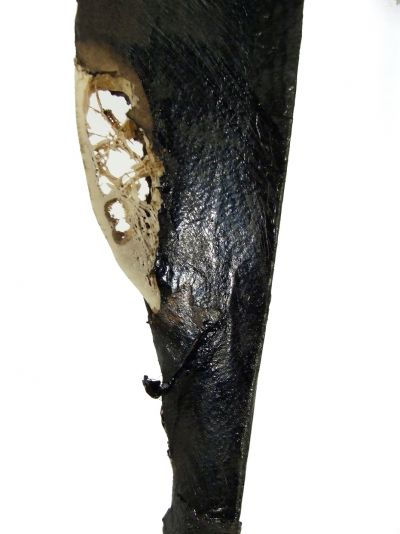 121336_ScarsideAdetail_931x1242.jpg