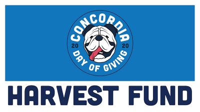 harvest-fund-06_web.jpg
